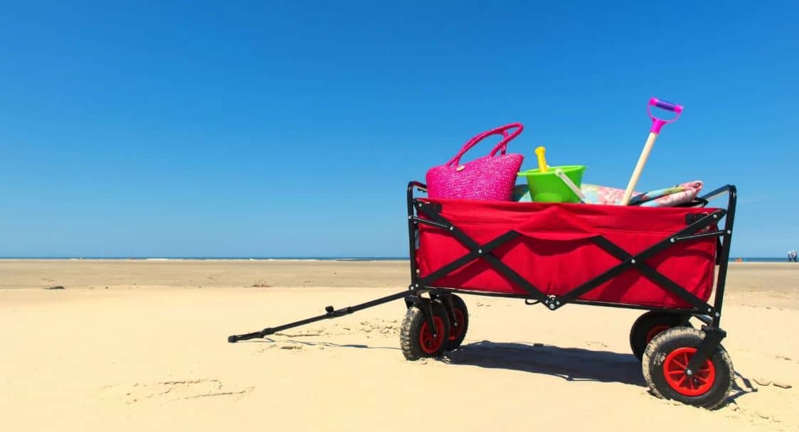 baby beach cart