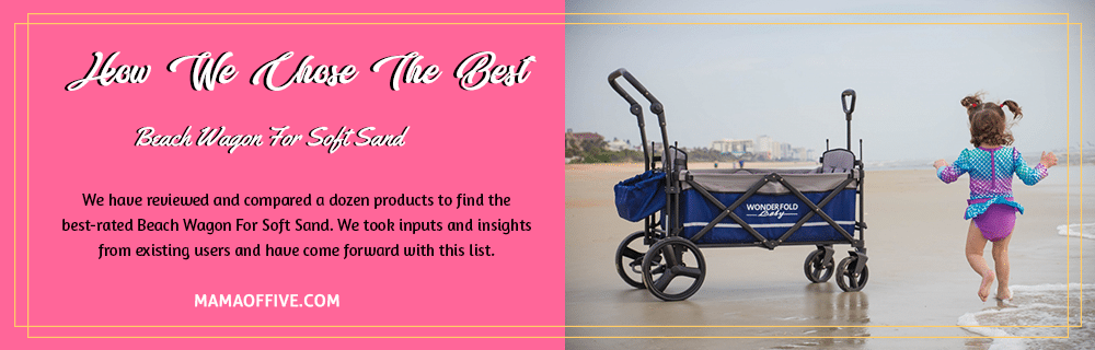 Best Beach Wagon Essential Accessory for Beachgoers