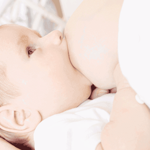 Causes and Solutions for a Sudden Drop in Milk Supply