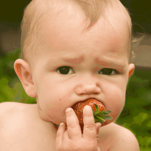 When Can My Baby Eat Strawberries?