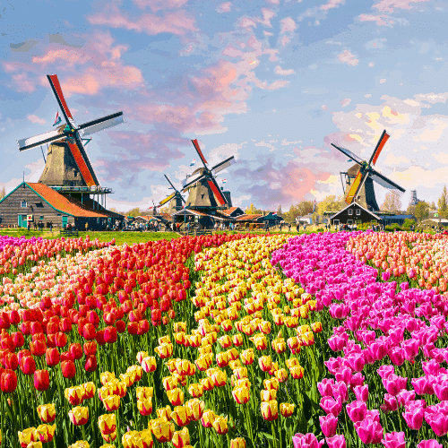 100+ Beautiful Dutch Girl Names and Their Meanings