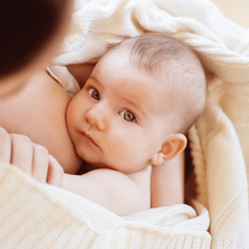 Can you Lose Weight While Breastfeeding