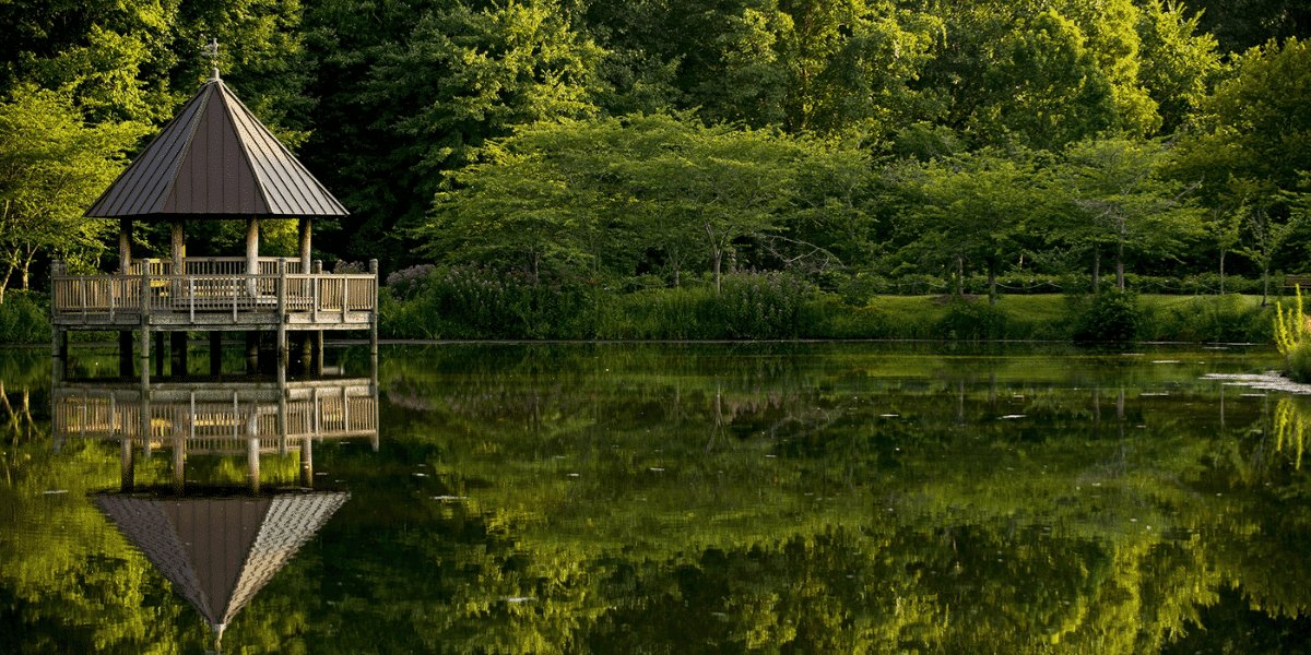 gazebo on a lake