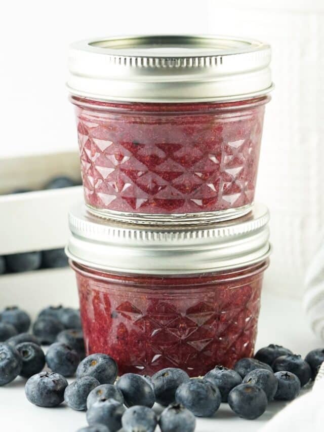 how-to-make-blueberry-puree-for-baby-mama-of-five