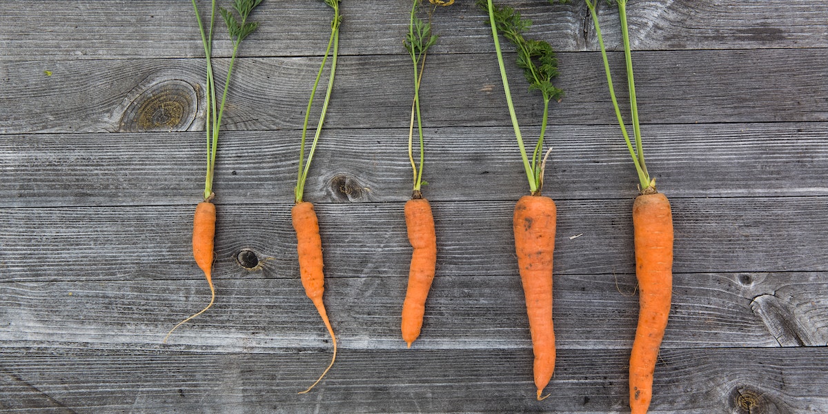 Carrot Jokes For Kids