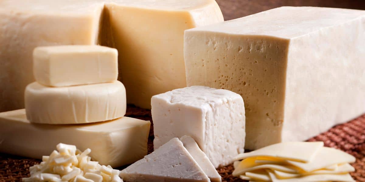 Cheddar Better Believe These Cheese Jokes Are Funny