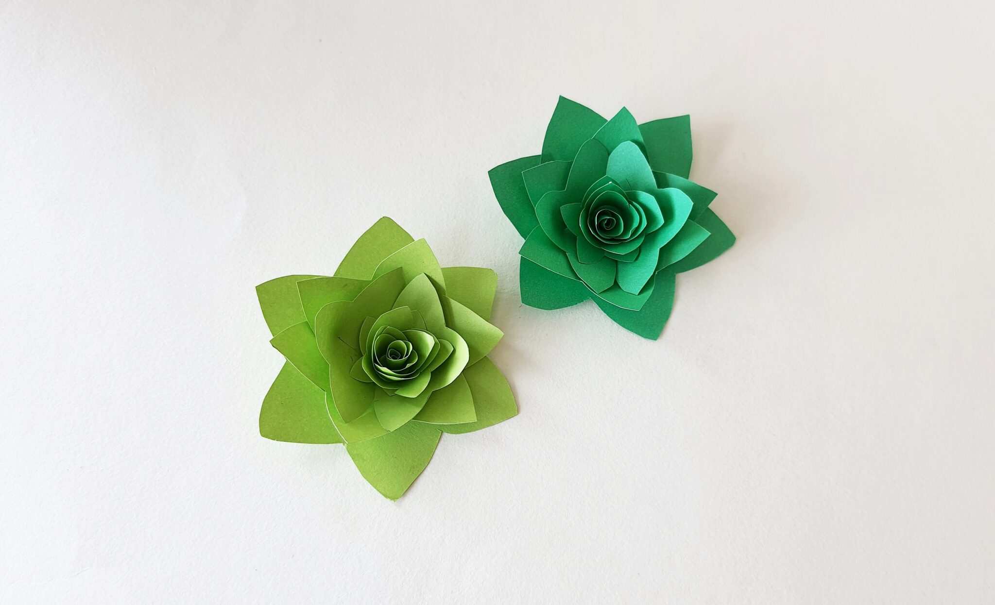 Succulent Papercraft