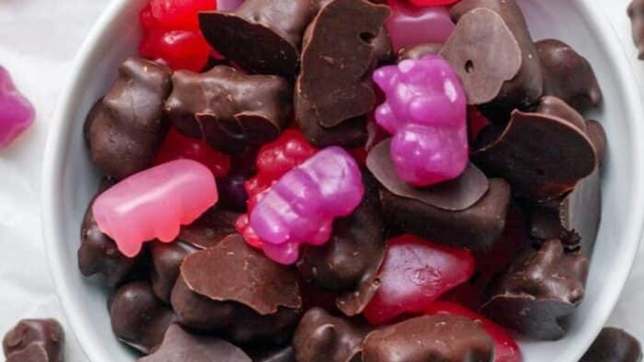 Chocolate Covered Gummy Bears